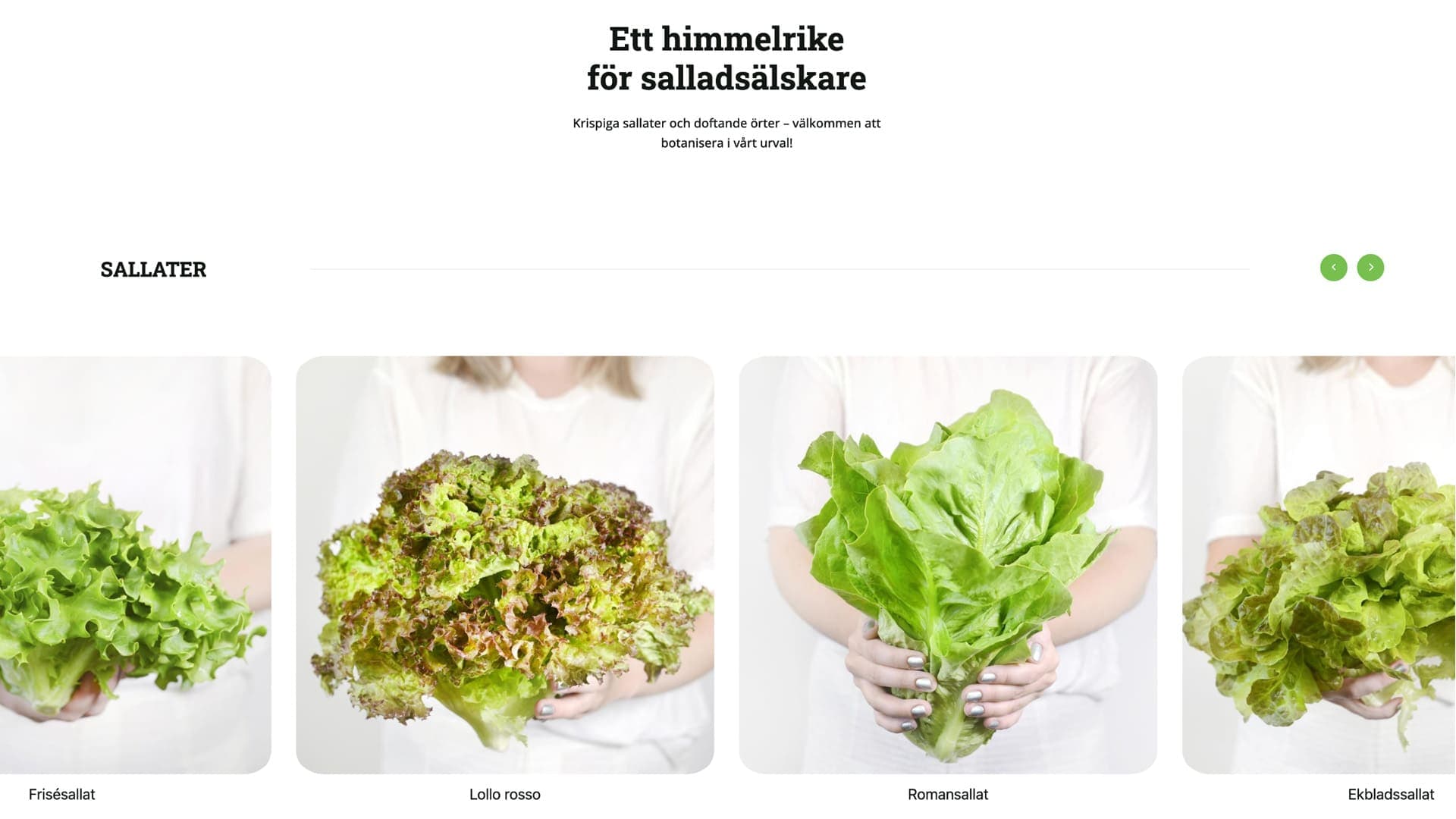 Deliverde preview 7