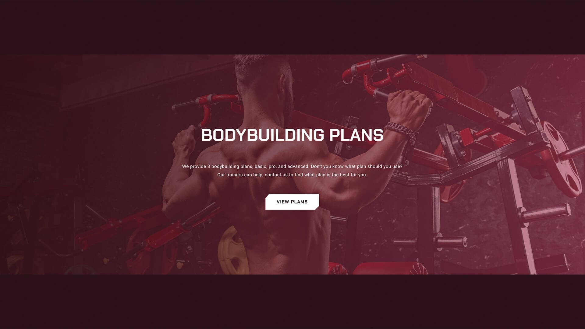 FitGo preview 11